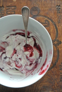Fresh Jam stirred into Greek Yogurt--DELICIOUS!